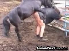 Brutal horse porn with a sultry adult being forcefully fucked was captured on camera.
